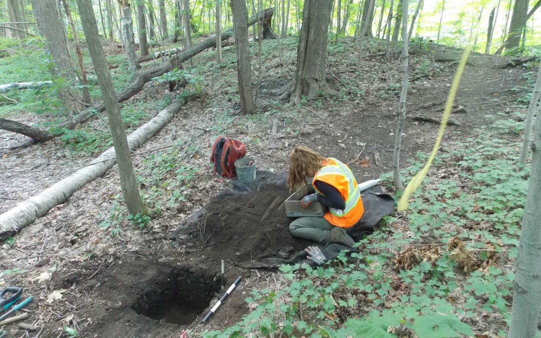 Revégétalisation de sentiers informels dans le parc du Mont-Royal, Ville de Montréal